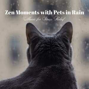 Zen Moments with Pets in Rain: Music for Stress Relief - Zen Roads