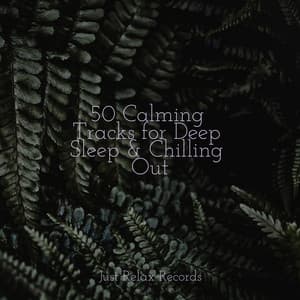 50 Calming Tracks for Deep Sleep & Chilling Out - Musica de Relajación Academy