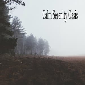 Calm Serenity Oasis - Musica Relajante