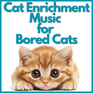 Cat Enrichment Music for Bored Cats - RelaxMyCat
