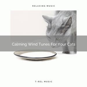 Calming Wind Tunes For Your Cats - Cat Relax