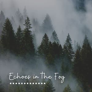 Echoes in the Fog - Meditation Guru