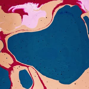 Music for No Stress December - Sumptuous Latin Music - Study Focus Jazz Playlist