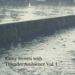 Rainy Streets with Thunder Ambience Vol. 1 - Recorder Rain