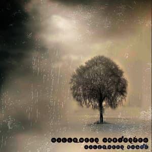 Halloween Ambiances - Halloween Music