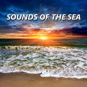 Sounds of the Sea - Sounds Of The Sea
