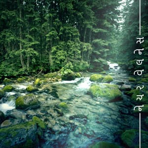 નેચર વેલનેસ: મસાજ, સ્પા, વેલ-બીઇંગ માટે અવાજ - હીલિંગ હાર્મની