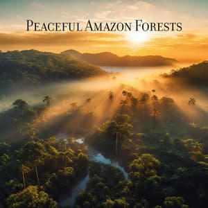 Peaceful Amazon Forests: Hang & Kalimba, Quiet Jungle, Exotic Birdsong - Natural Sounds Music Academy