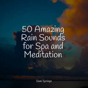 50 Amazing Rain Sounds for Spa and Meditation - Massage