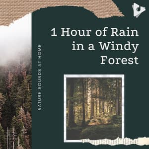 1 Hour of Rain in a Windy Forest - Nature Sounds At Home