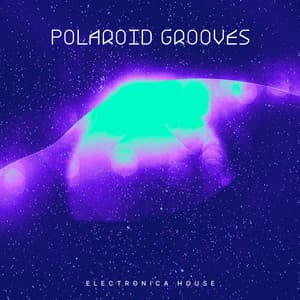 Polaroid Grooves - Electronica House