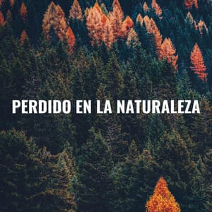 Perdido En La Naturaleza - Elementos de la naturaleza