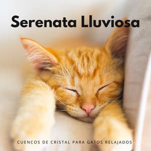 Serenata Lluviosa: Cuencos De Cristal Para Gatos Relajados - Cuencos Tibetanos