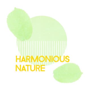 Harmonious Nature - Sounds of Nature for Deep Sleep and Relaxation