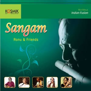 Ronu And Friends - Ronu Majumdar