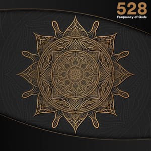 528 Hz Frequency of Gods - Solfeggio Healing Home