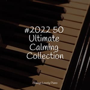 Classical Piano Collection - Concentrate with Classical Piano