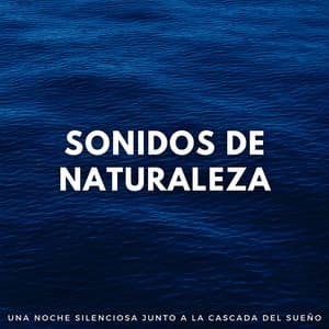 Sonidos De Naturaleza: Una Noche Silenciosa Junto A La Cascada Del Sueño - Cascadas Relajantes
