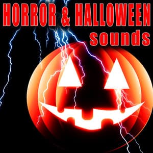 Horror & Halloween Sounds - Sound Effects Library