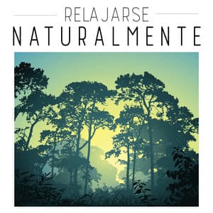 Relajarse Naturalmente: Yoga para la Depresión, Melodías Relajantes para Dormir, Música Relajante para la Meditación, Descanso Después del Trabajo - Serenidad Academy
