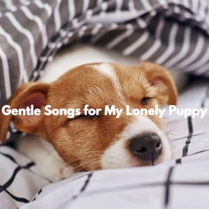 Gentle Songs for My Lonely Puppy - Musik zum Lesen
