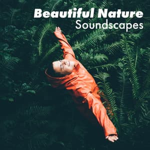 Beautiful Nature Soundscapes - Raindrops Healing Music Universe