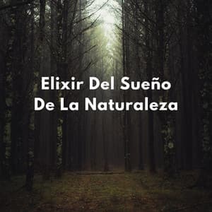 Sueños En La Naturaleza En Calma: Elixir Del Sueño De La Naturaleza - Televisión de la naturaleza
