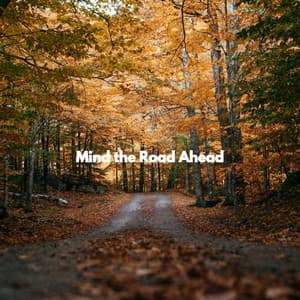 Mind the Road Ahead - Coffee House Jazz Radio