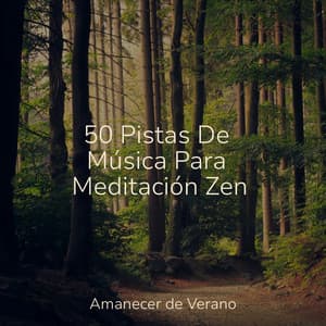 50 Pistas De Música Para Meditación Zen - PowerThoughts Meditation Club