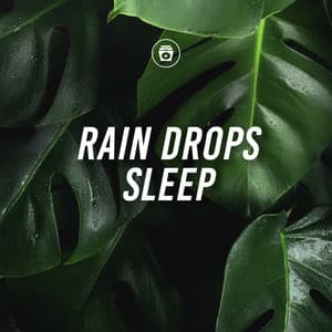 Rain Drops Sleep - ASMR Rain Sounds