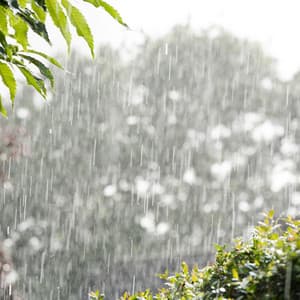 White Noise Rain Sounds - White Noise Rain Sounds