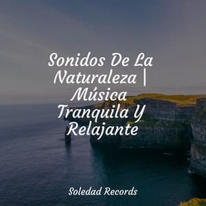 Sonidos De La Naturaleza | Música Tranquila Y Relajante - Cascada de Lluvia