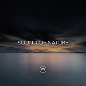 Sound Of Nature - Sounds Of Nature