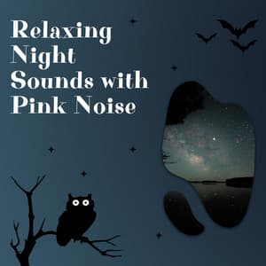 Relaxing Night Sounds with Pink Noise, Loopable - Night Sounds Channel