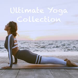 Ultimate Yoga Collection - Relaxing Mindfulness Meditation Relaxation Maestro