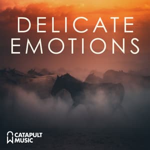 Delicate Emotions - Chris Doney