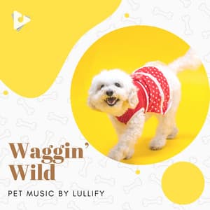 Waggin’ Wild - Pet Music by Lullify