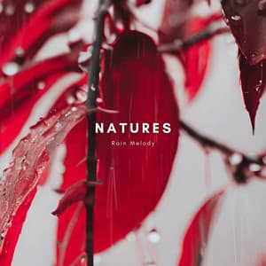 Zen Garden Rainfall - Natures Rain Melody