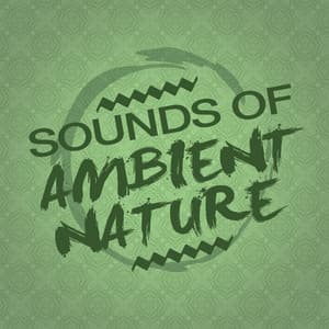 Sounds of Ambient Nature - Ambient Nature Sounds