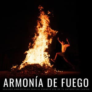 Armonía De Fuego: Sonidos Ambientales Para El Espacio Zen De Tu Gato - Tormenta Solar