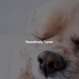 Pawsitively Tunes - Música Chill para Cafés