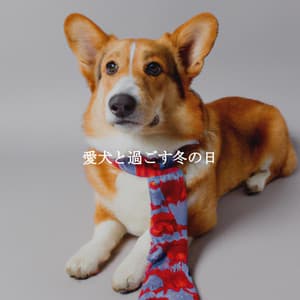 愛犬と過ごす冬の日 - Morning Brunch Music