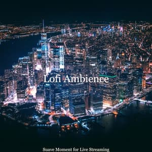 Suave Moment for Live Streaming - Lofi Ambience