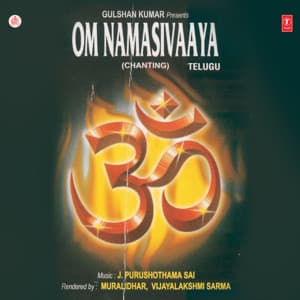 Om Namasivaaya - Murlidhar