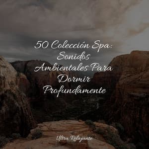 50 Colección Spa: Sonidos Ambientales Para Dormir Profundamente - Música Relajante para Bebés