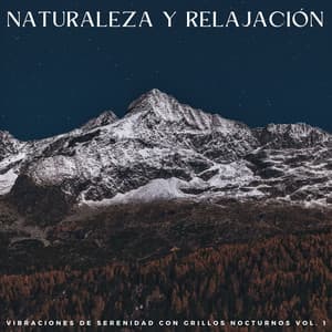 Naturaleza Y Relajación: Vibraciones De Serenidad Con Grillos Nocturnos Vol. 1 - Registradores de campo al aire libre
