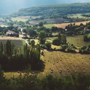 Memories to Keep | Just Relax, Natural Remedies, Chakra Cleansing - Nature Sounds