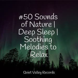 #50 Sounds of Nature | Deep Sleep | Soothing Melodies to Relax - Rain Man Sounds