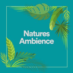 Natures Ambience - Relaxing Yoga Music