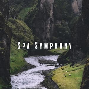 Spa Symphony: Tranquil Waters with Binaural Beats - Binaural Astro Lab